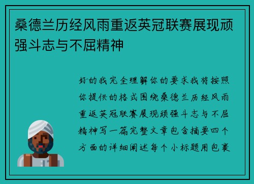 桑德兰历经风雨重返英冠联赛展现顽强斗志与不屈精神
