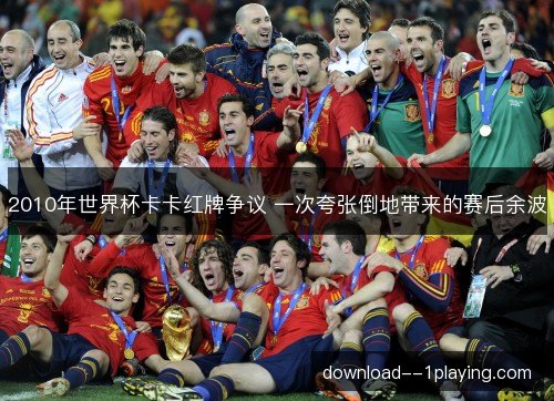 2010年世界杯卡卡红牌争议 一次夸张倒地带来的赛后余波